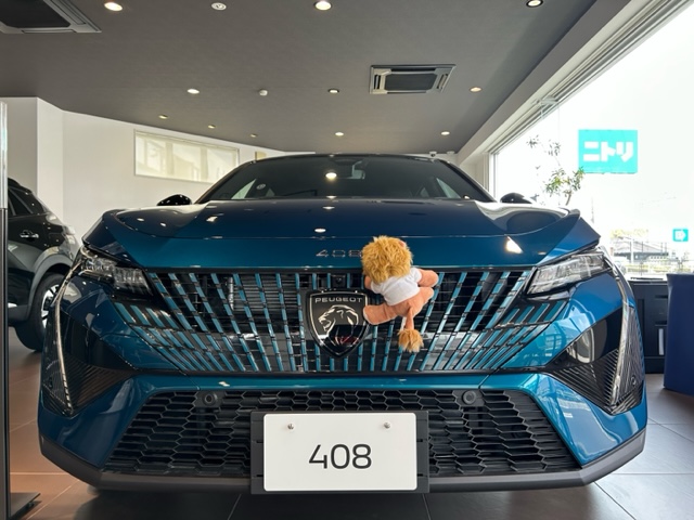 PEUGEOT408　アクセサリーPart2✨