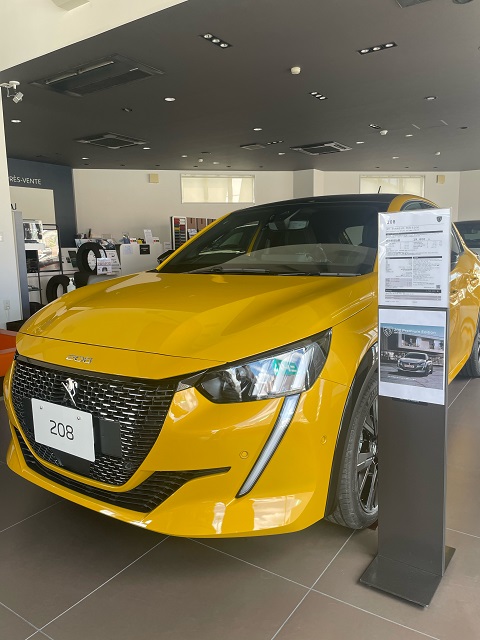 展示中です♪