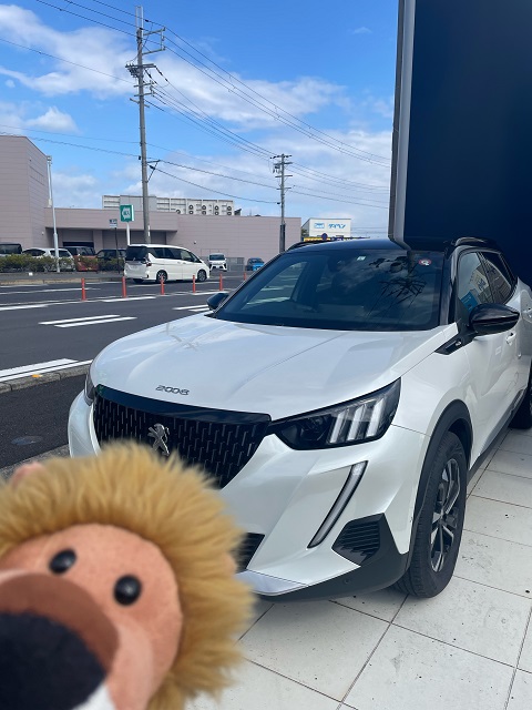 本日は晴天🌞