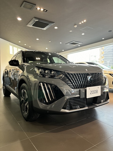NEW2008入荷しました！