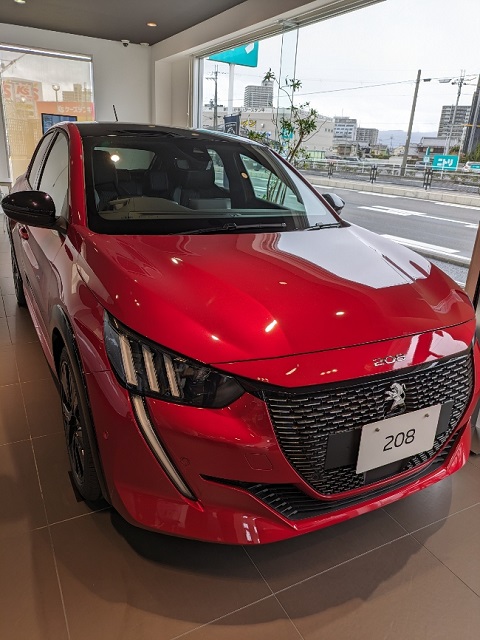 エリクサーレッド🌹