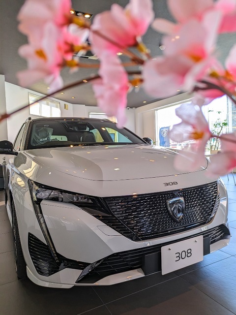 展示車ご紹介🚘