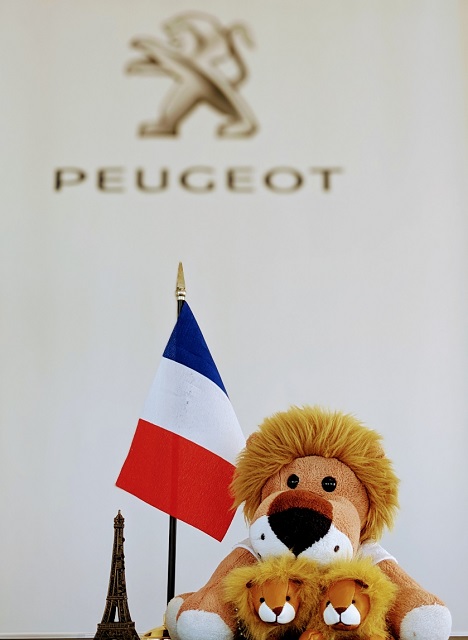 本日営業中！明日より5/8（水）まで休業となります🙇‍♀️