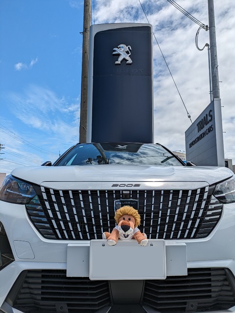 試乗予約お待ちしております💁‍♀️