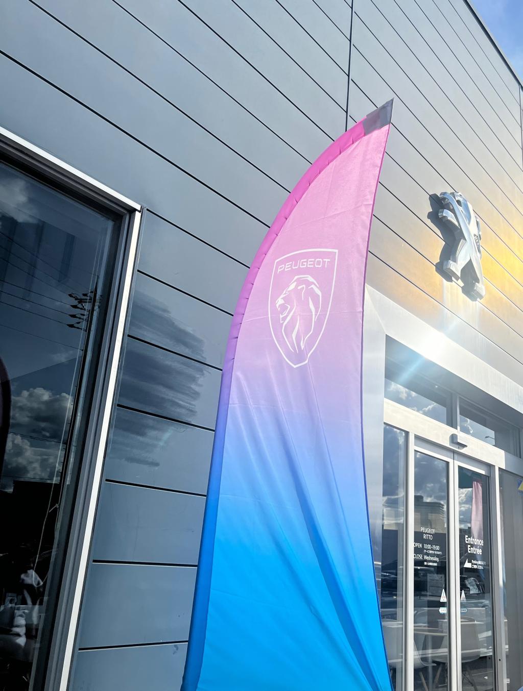 🟪NEW　NOBORI🟦