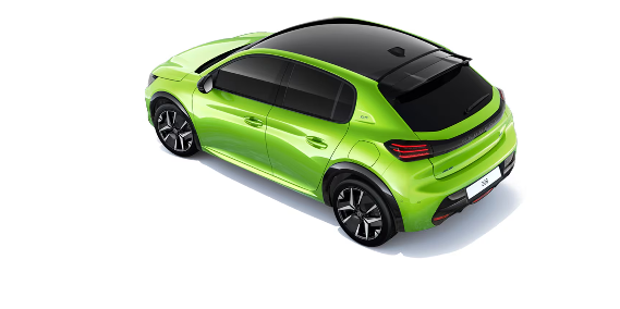 NEW 208 DEBUT🦁⭐