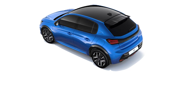 NEW 208 DEBUT🦁⭐