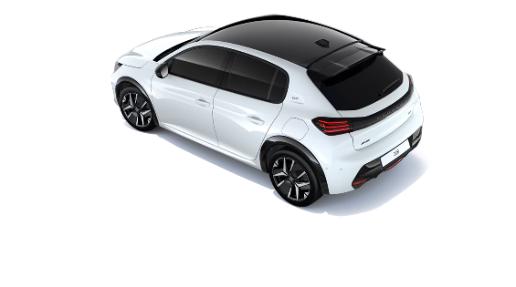 NEW 208 DEBUT🦁⭐