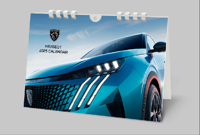 PEUGEOT WINTER PLEASURE フェア⛄