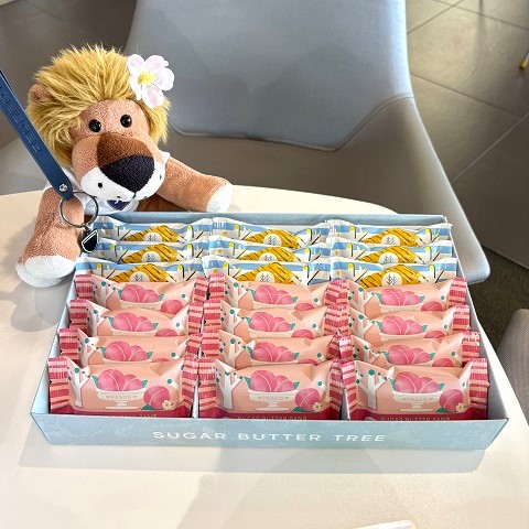 お客様からいただきました🎁