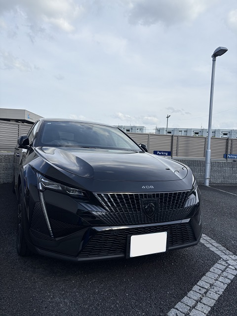 5月に入りました🌳