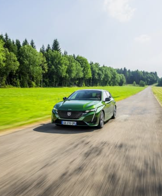 ◇定休日のお知らせ◇