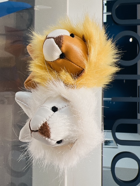 僕、友達ができました✨️