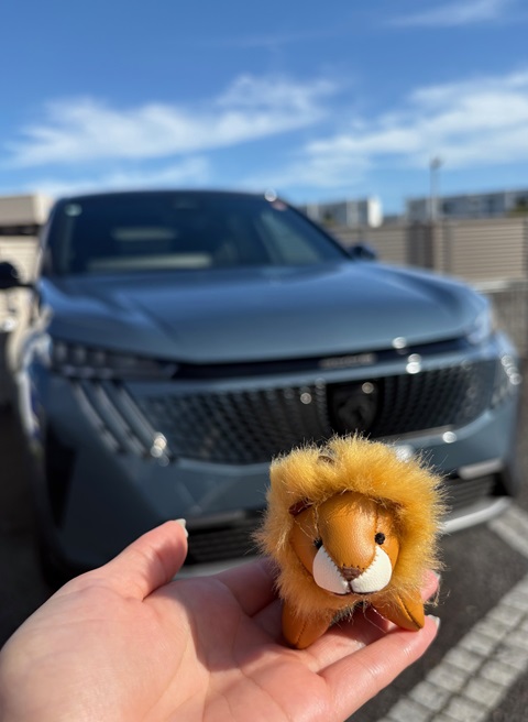 NEW 3008 GT HYBRIDアンコールフェア✨