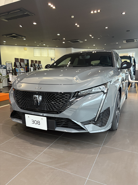 展示車のご紹介です🦁✨