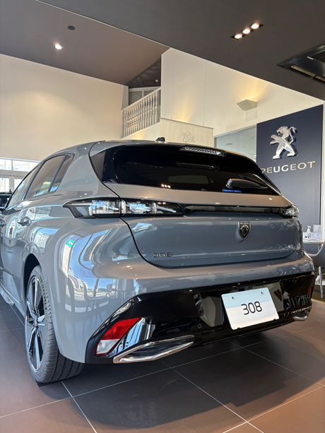 展示車のご紹介です🦁✨