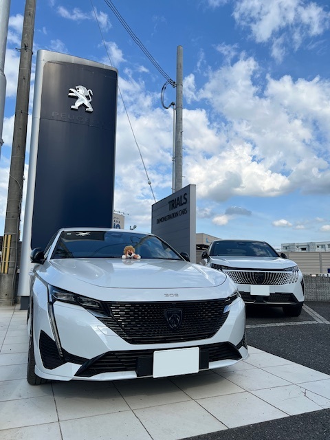 ◇定休日のお知らせ◇