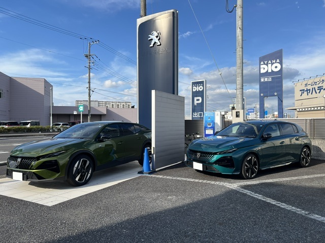 ◇定休日のお知らせ◇